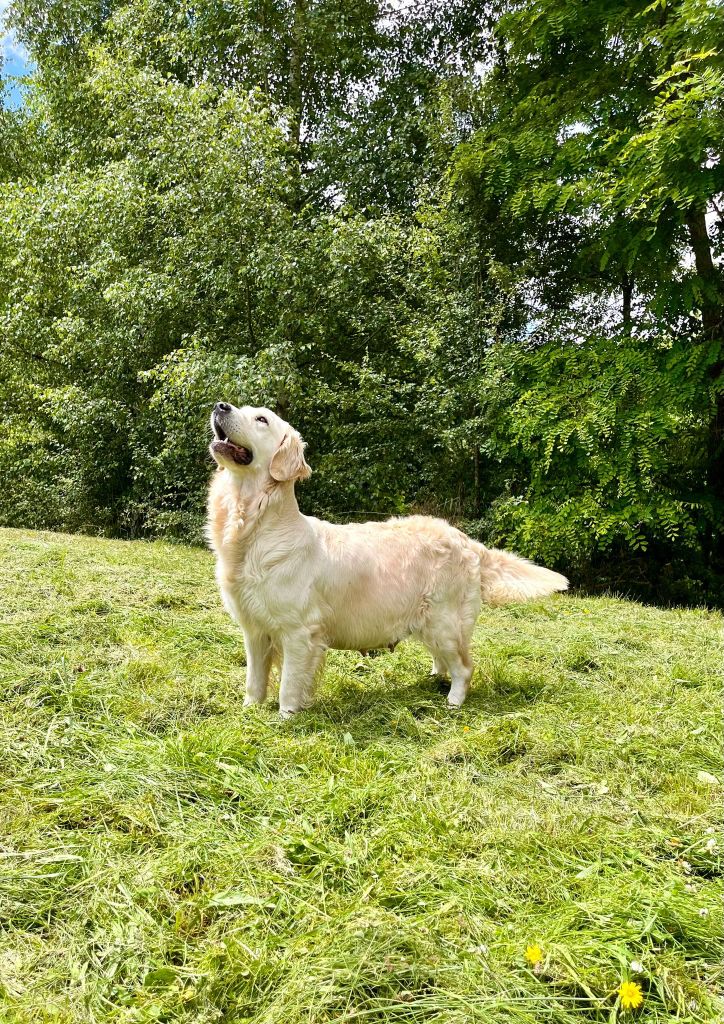 Twixy De La Tombée De La Nuit