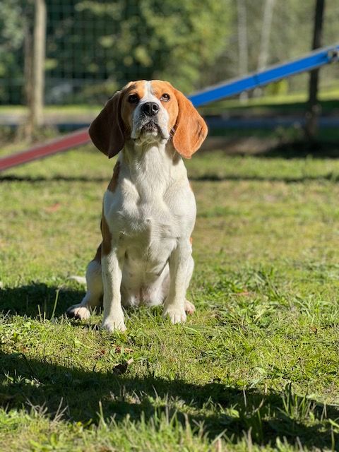 Ultime Du domaine de la villatelle