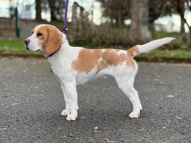 Urka Du domaine de la villatelle