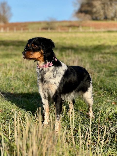 Vodka Du domaine de la villatelle