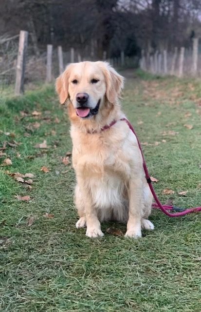 Taïwan Du domaine de la villatelle