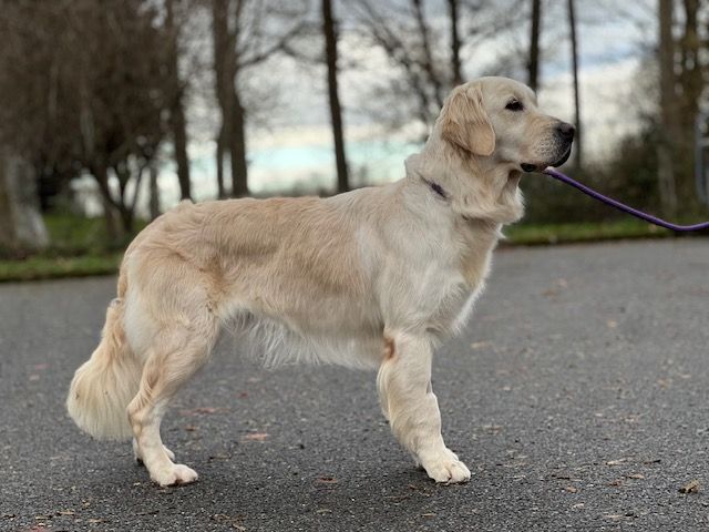 Twixy De La Tombée De La Nuit