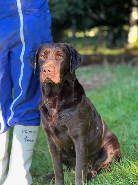 Underline Du Bois De L'Ayade