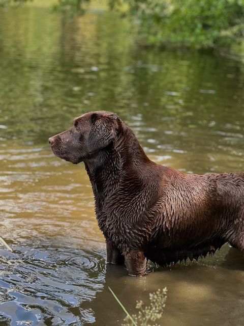 Reset Du domaine de la villatelle
