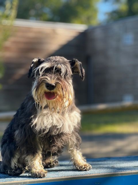 Texas Du domaine de la villatelle