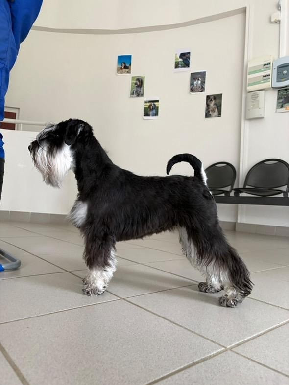 Vedette Du domaine de la villatelle